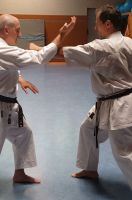 Sensei Moser Michael 2